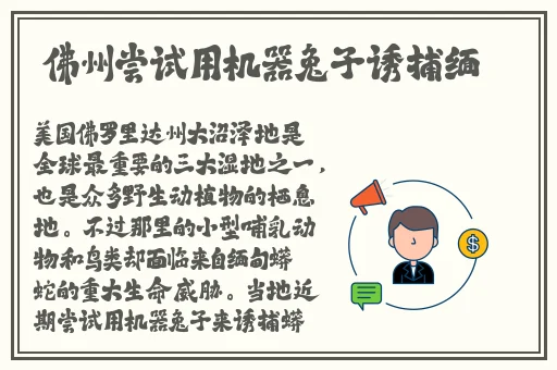 依人青青青免费观看