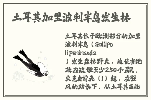 一个人看的WWW免费高清版